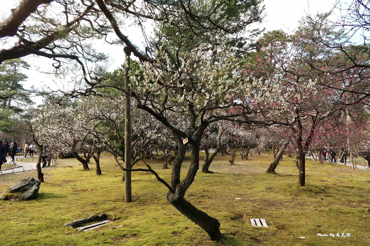 IMG_4041_調整大小 IMG_4041_調整大小