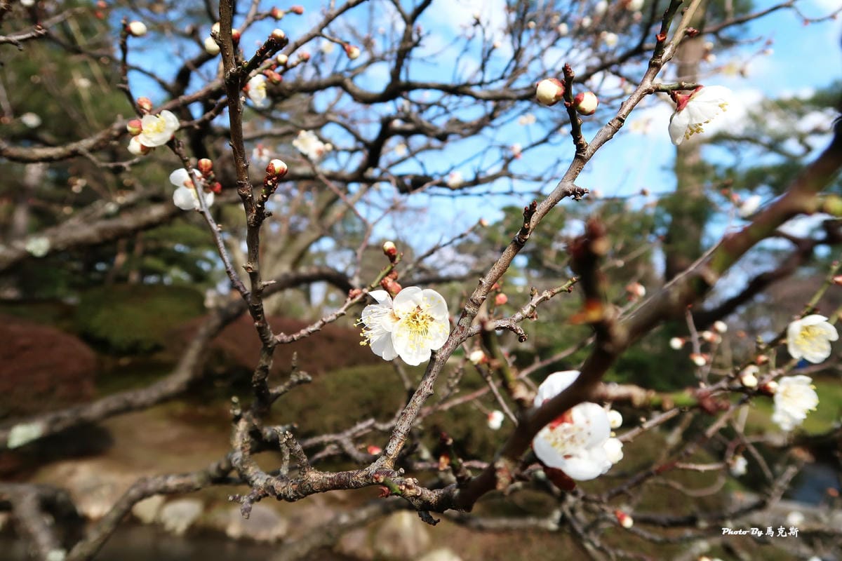 IMG_4045_調整大小 (2) IMG_4045_調整大小 (2)