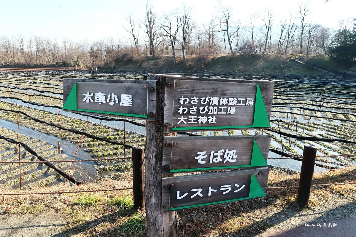 IMG_3430_調整大小 IMG_3430_調整大小