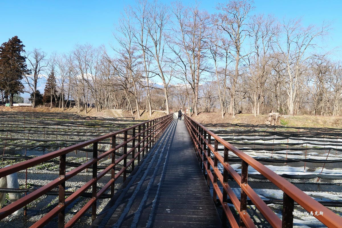 IMG_3461_調整大小 IMG_3461_調整大小