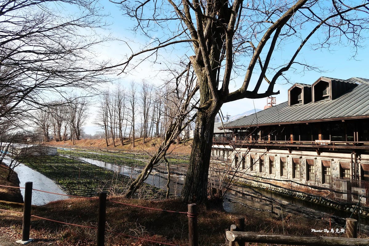 IMG_3450_調整大小 IMG_3450_調整大小