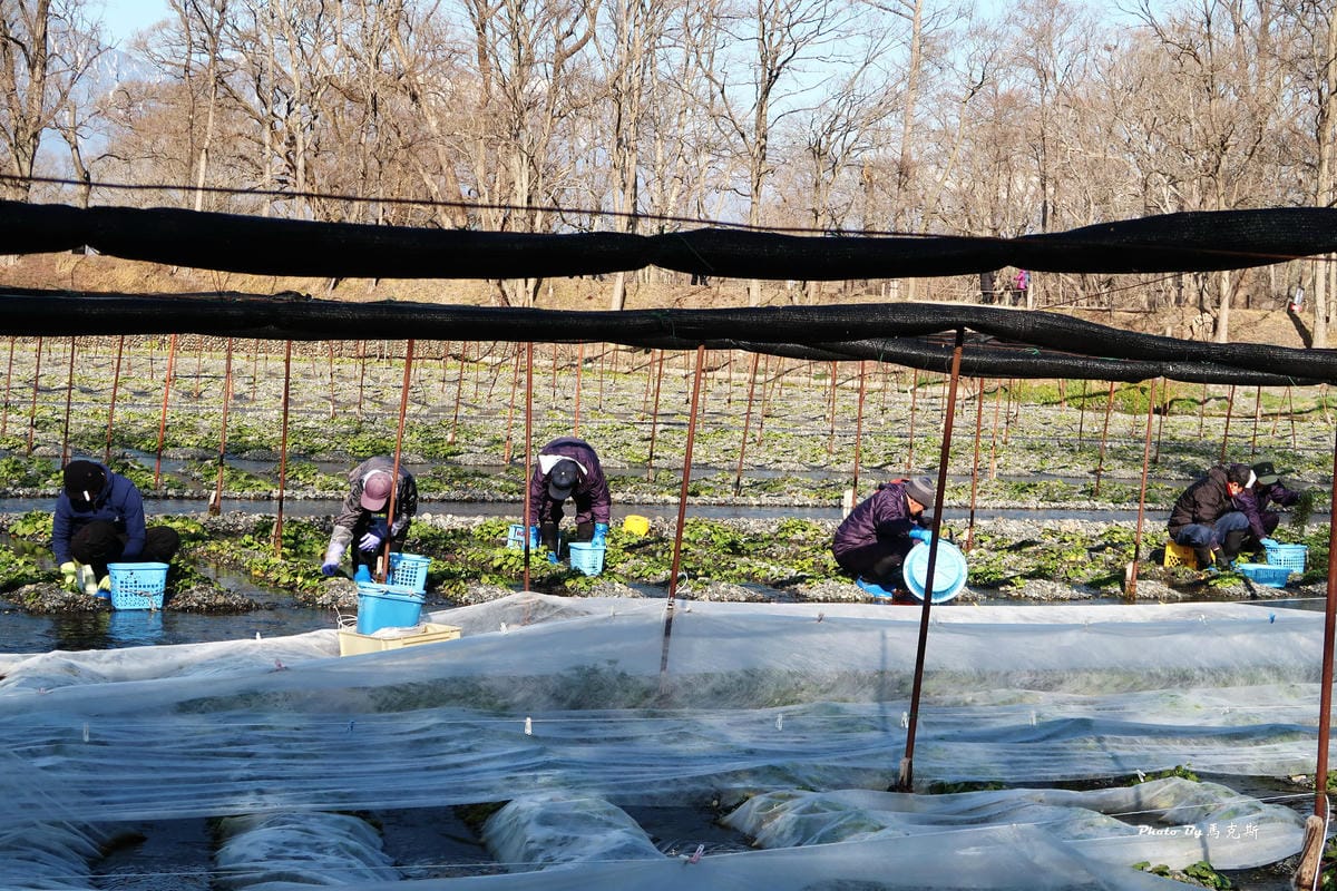 IMG_3470_調整大小 IMG_3470_調整大小