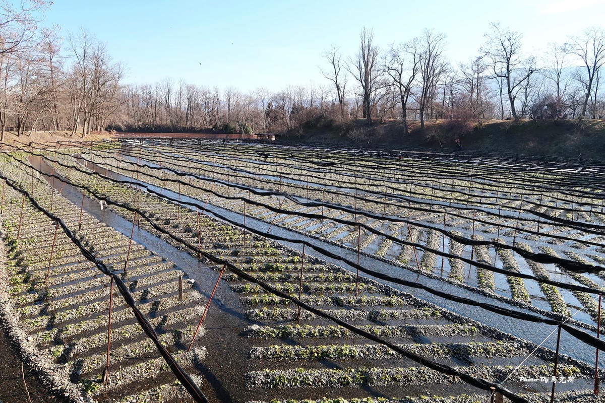 IMG_3435_調整大小 IMG_3435_調整大小