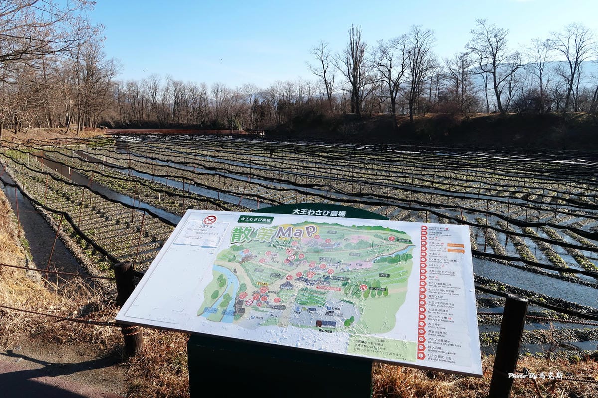 IMG_3427_調整大小 IMG_3427_調整大小