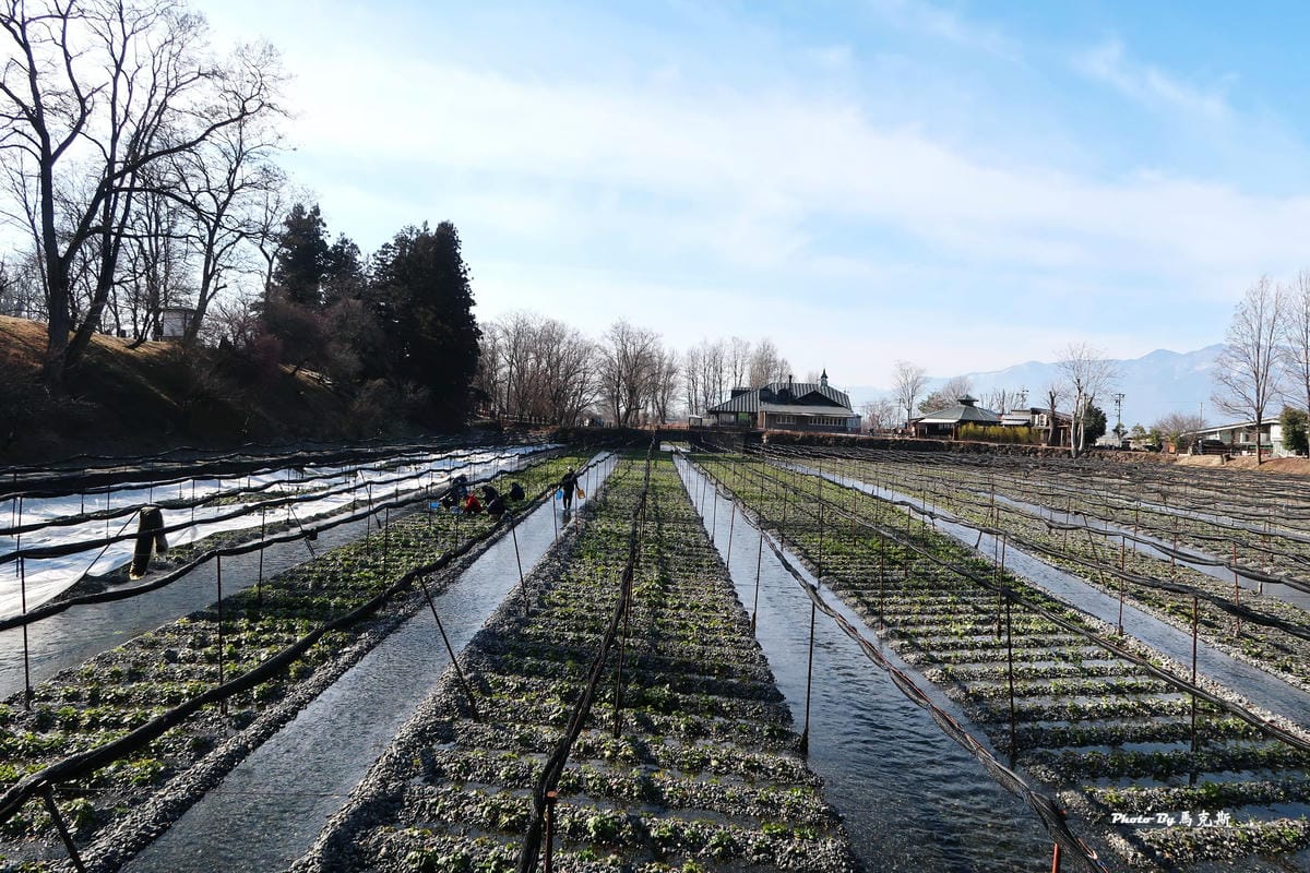 IMG_3465_調整大小 IMG_3465_調整大小