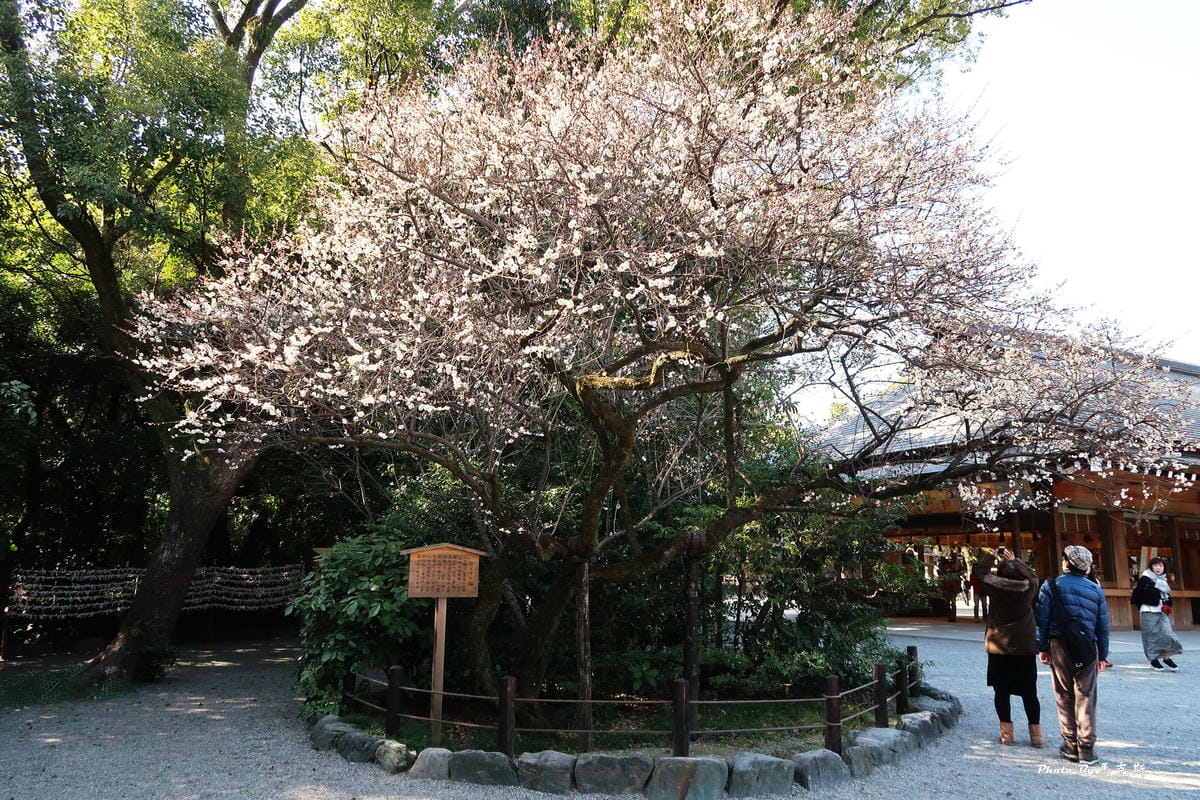 IMG_4481_調整大小 IMG_4481_調整大小