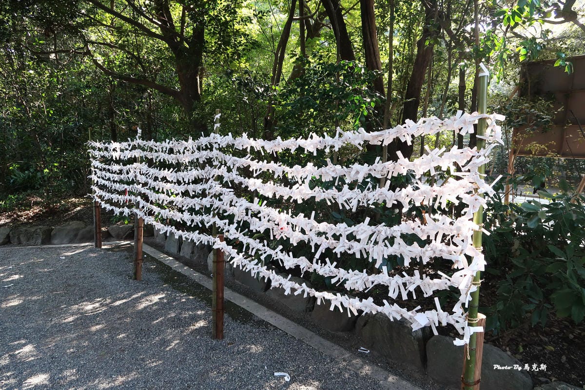 IMG_4470_調整大小 IMG_4470_調整大小