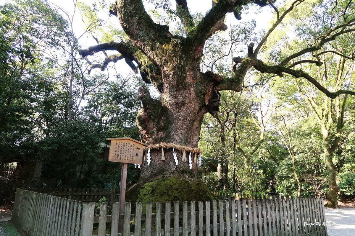 IMG_4435_調整大小 IMG_4435_調整大小