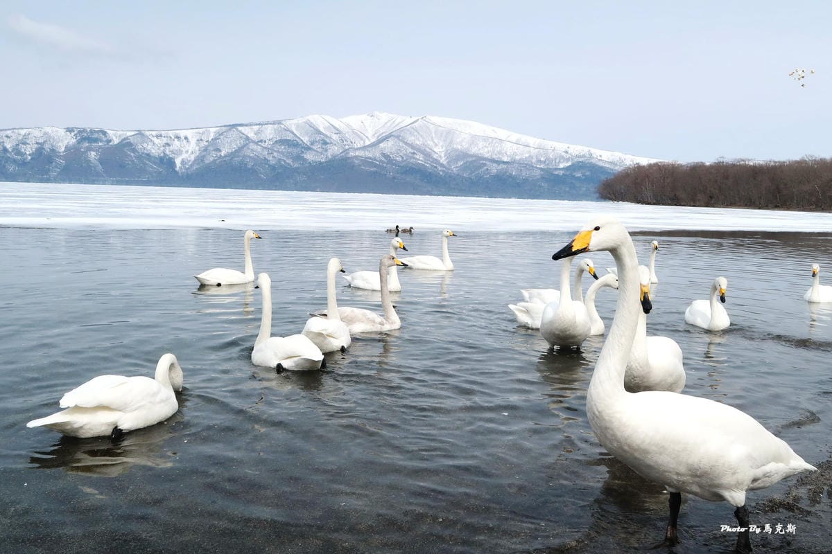 IMG_7735_調整大小 IMG_7735_調整大小