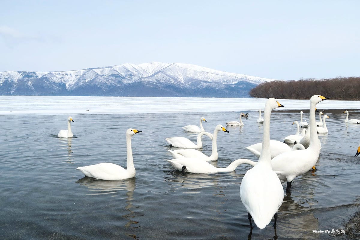 IMG_7735_調整大小 (2) IMG_7735_調整大小 (2)