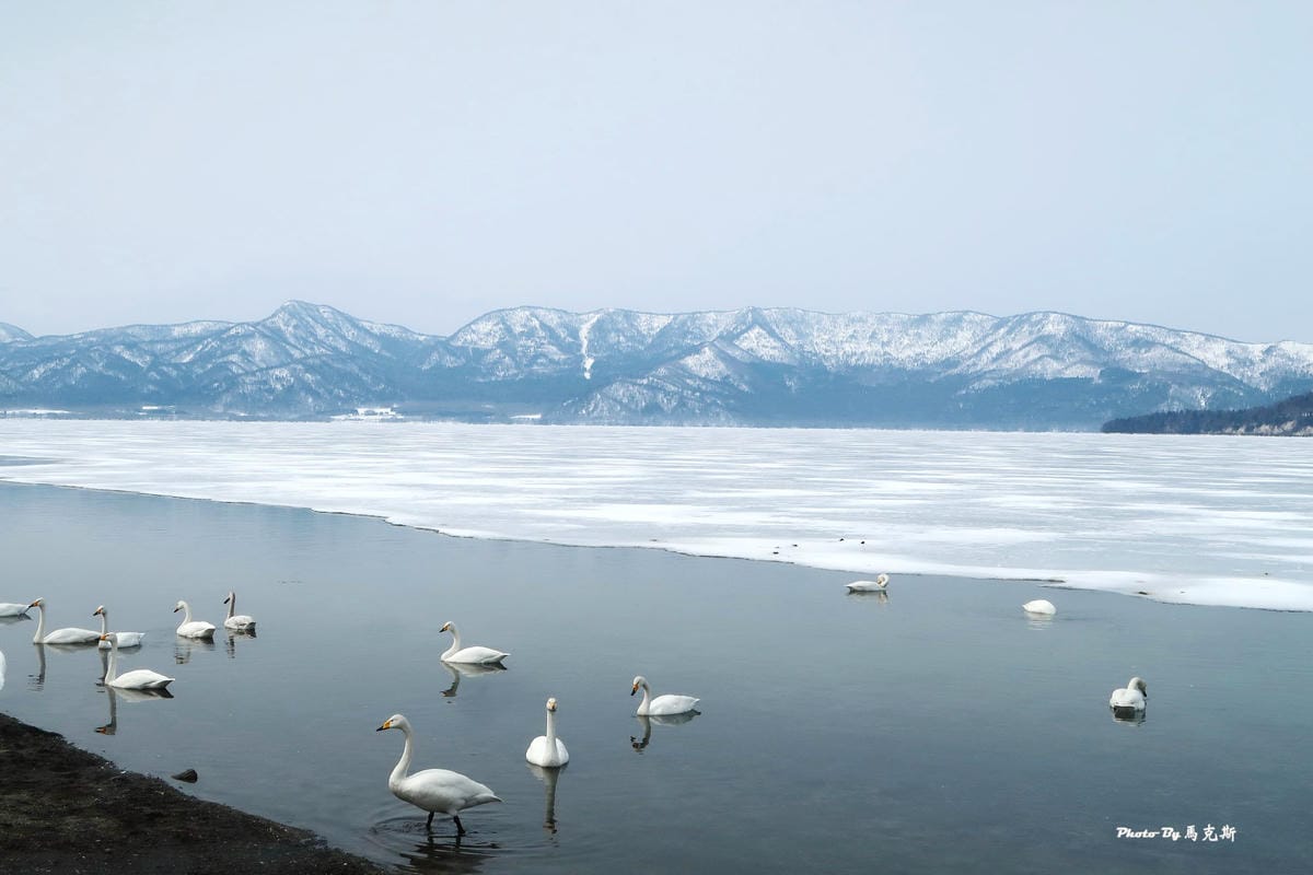 IMG_7737_調整大小 IMG_7737_調整大小