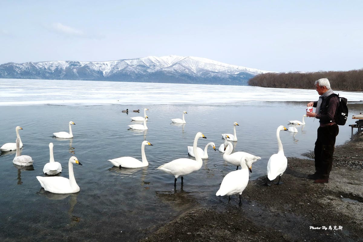 IMG_7730_調整大小 IMG_7730_調整大小