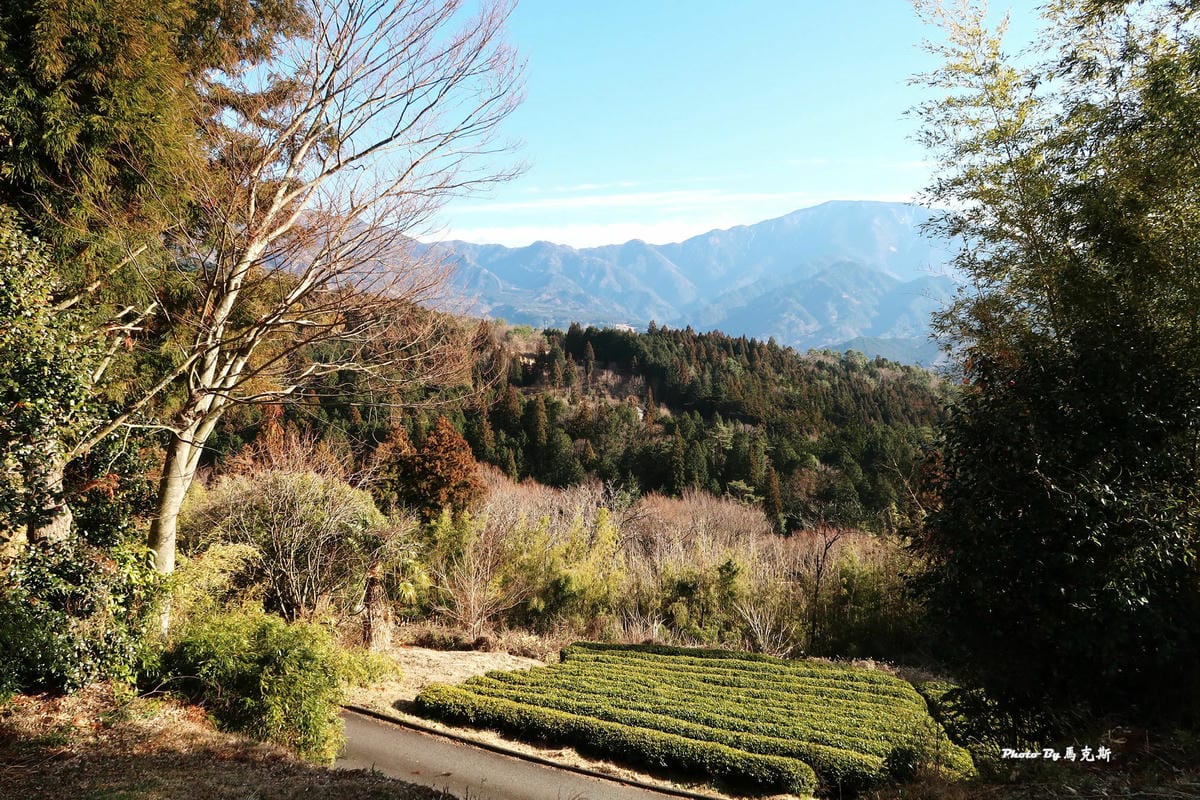 IMG_3023_調整大小 IMG_3023_調整大小