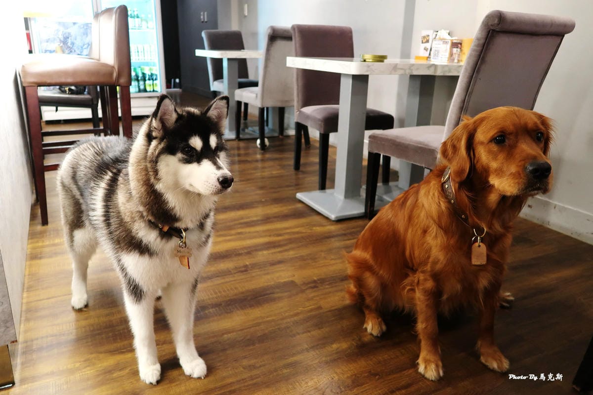 IMG_1445_調整大小 IMG_1445_調整大小