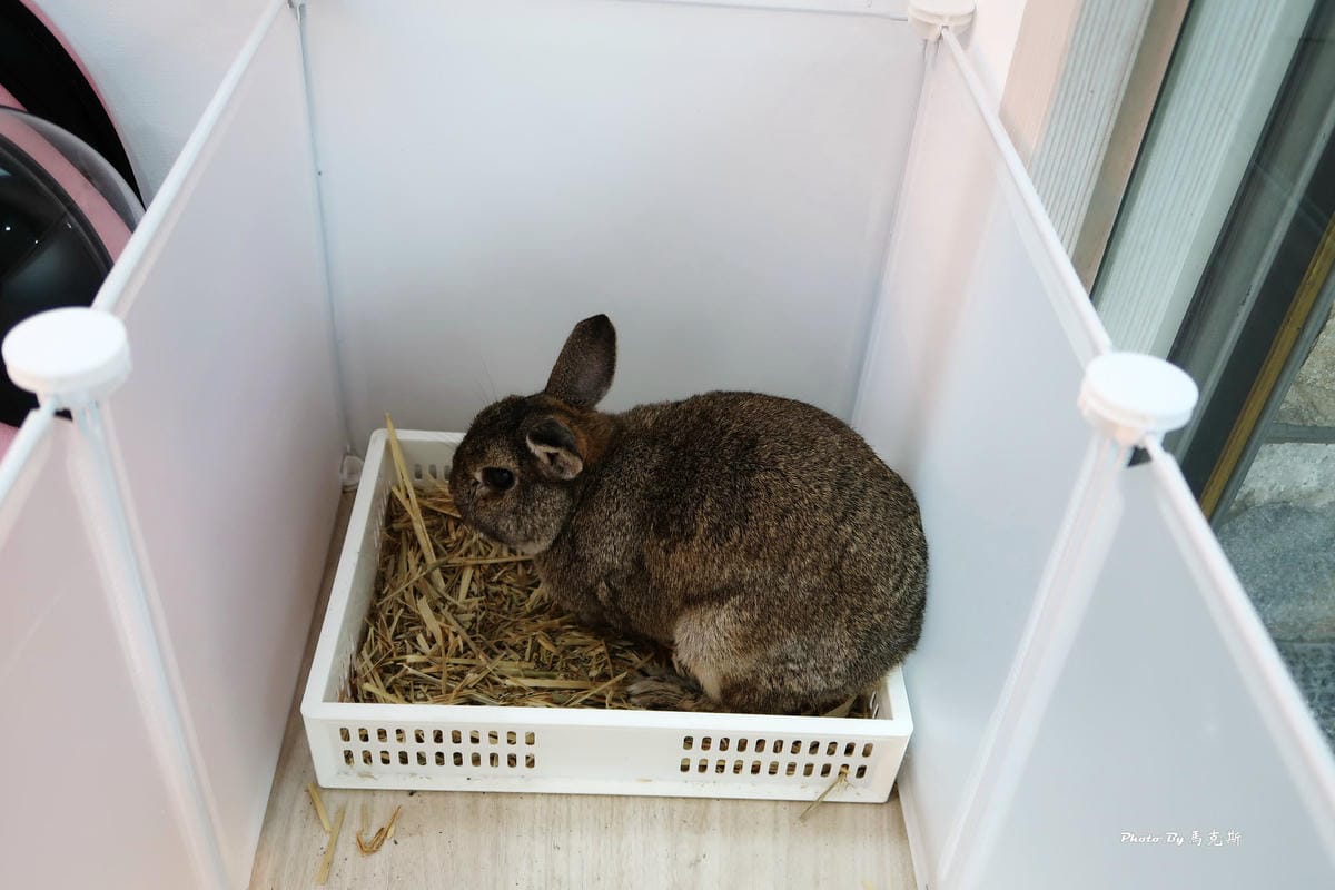 IMG_3207_調整大小 IMG_3207_調整大小