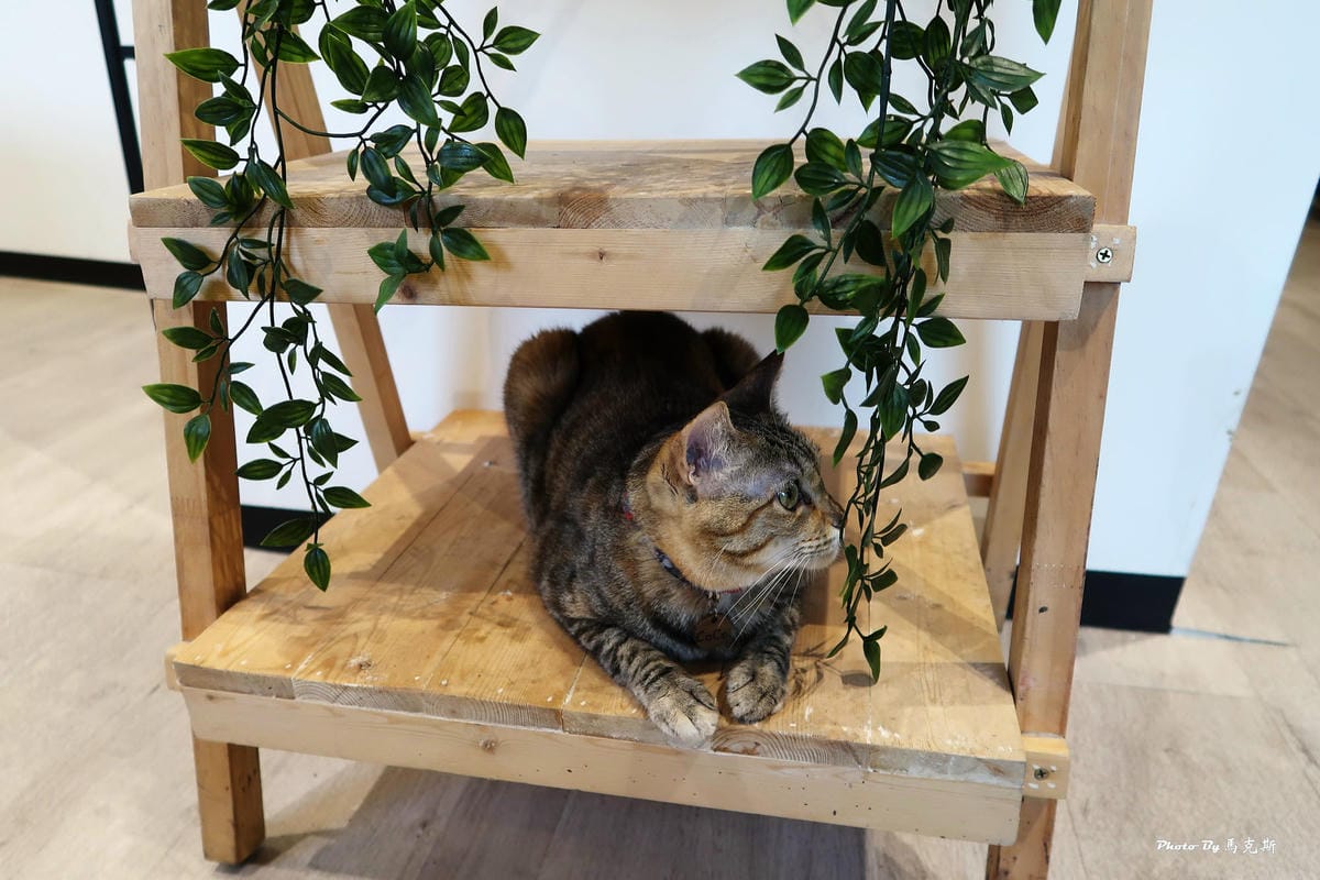 IMG_4017_調整大小 IMG_4017_調整大小