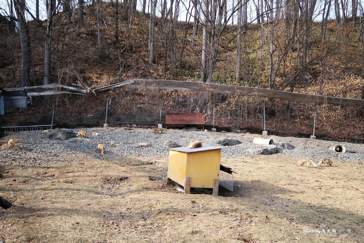 IMG_8160_調整大小 IMG_8160_調整大小