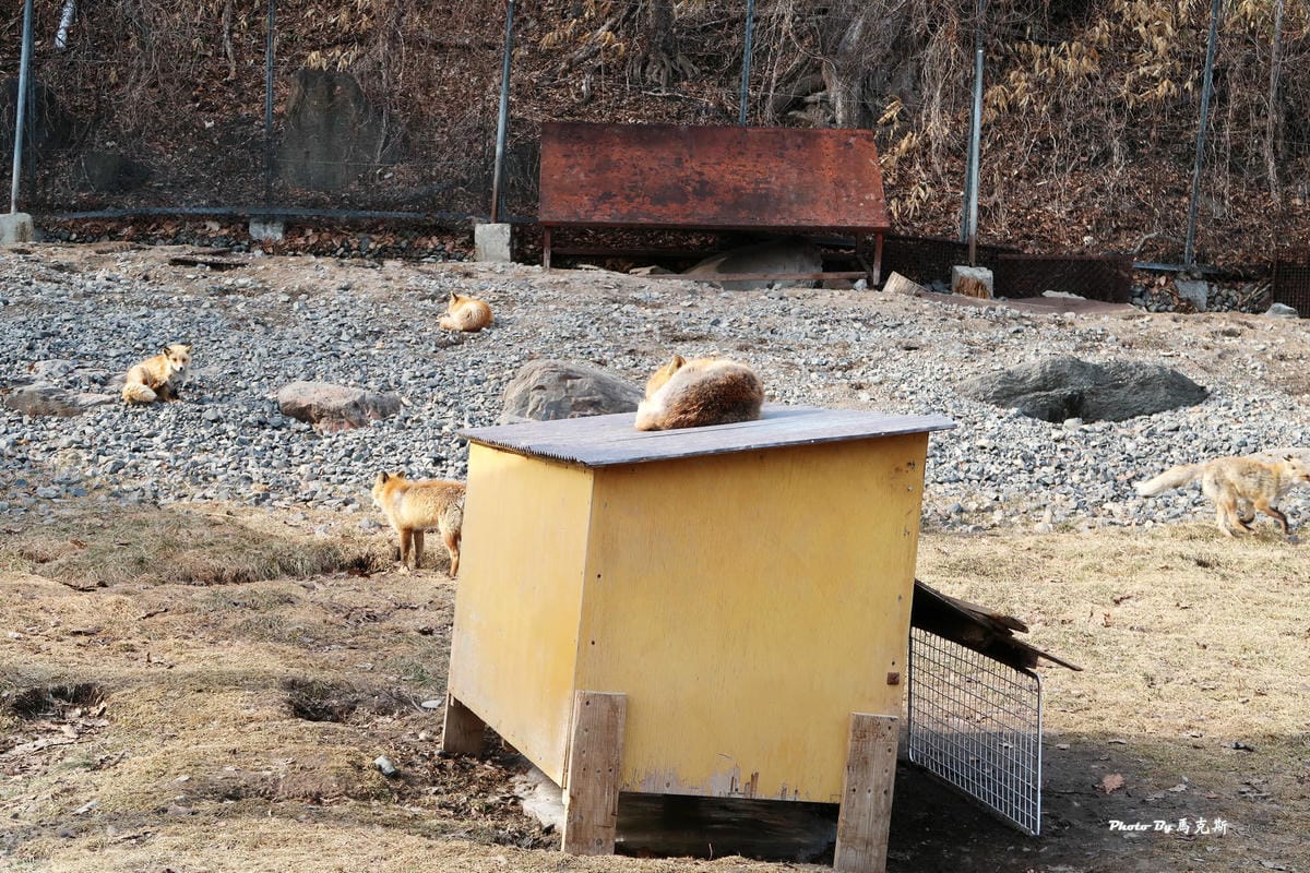 IMG_8163_調整大小 IMG_8163_調整大小