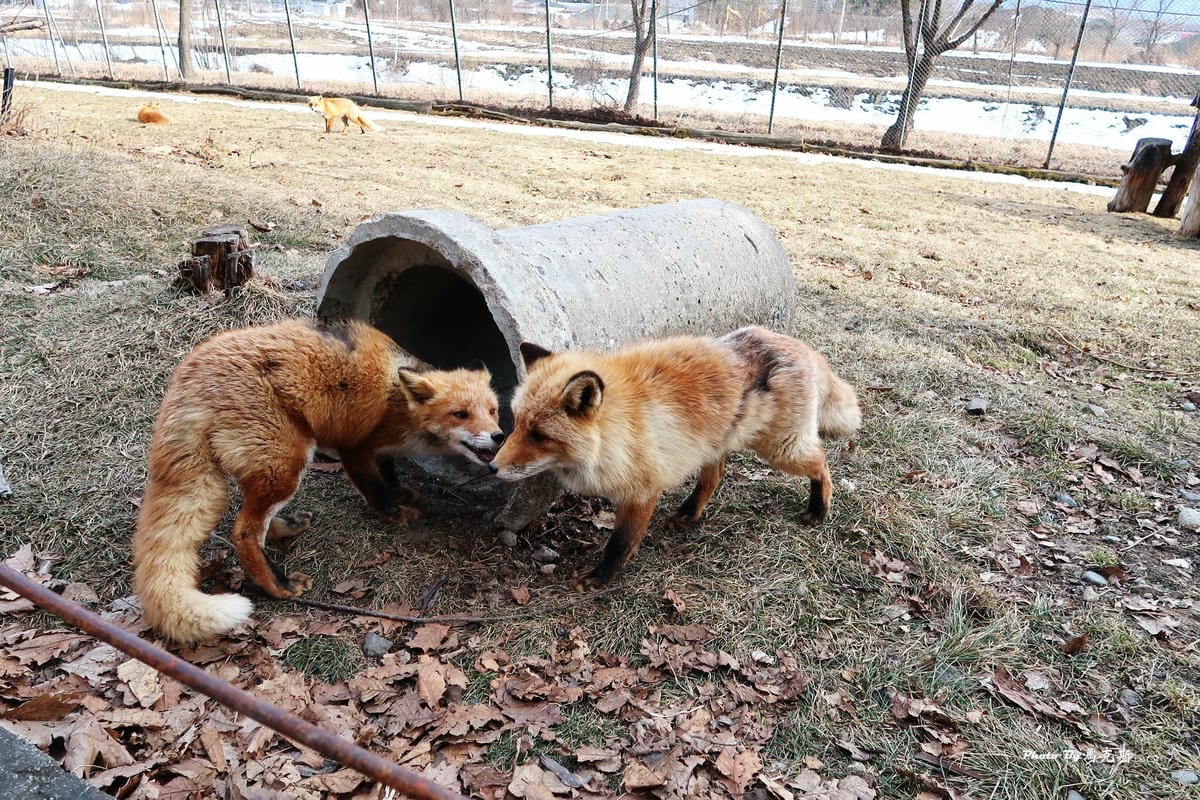 IMG_8180_調整大小 (2) IMG_8180_調整大小 (2)