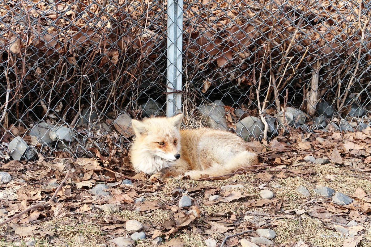 IMG_8177_調整大小 IMG_8177_調整大小