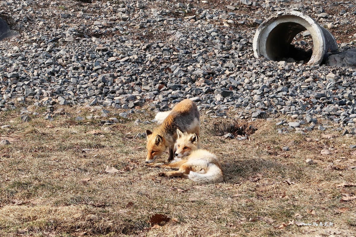 IMG_8165_調整大小 IMG_8165_調整大小