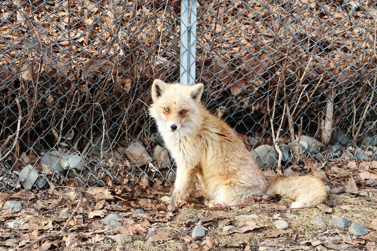 IMG_8170_調整大小 IMG_8170_調整大小