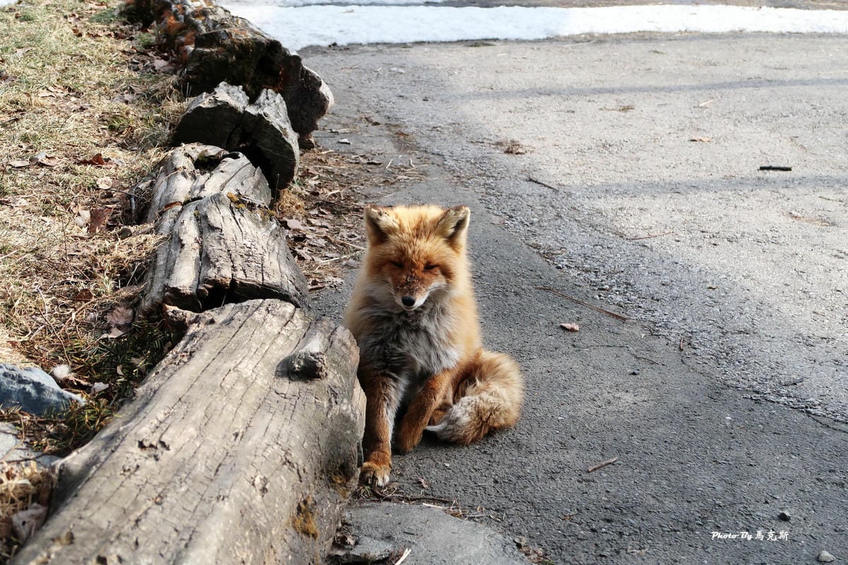 IMG_8155_調整大小 IMG_8155_調整大小