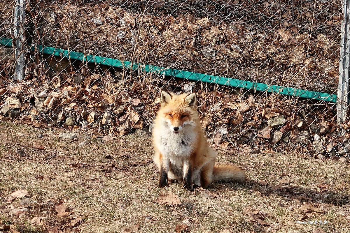 IMG_8167_調整大小 IMG_8167_調整大小