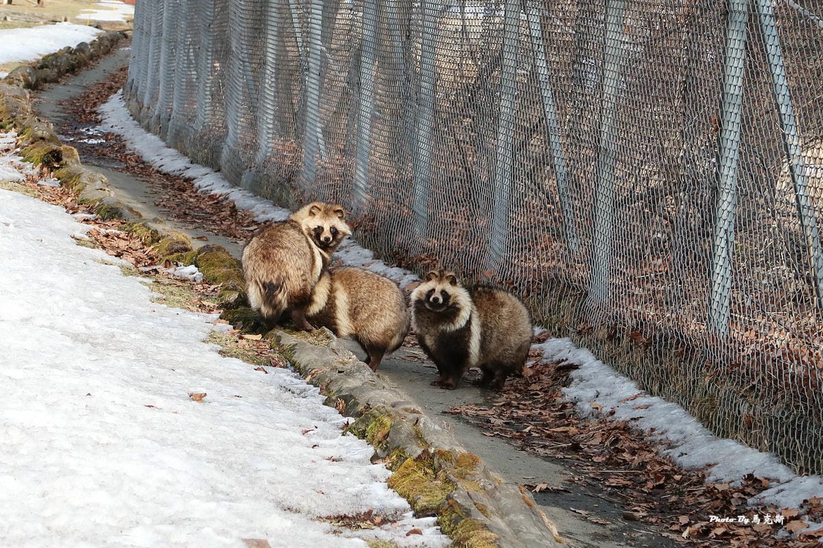 IMG_8183_調整大小 IMG_8183_調整大小