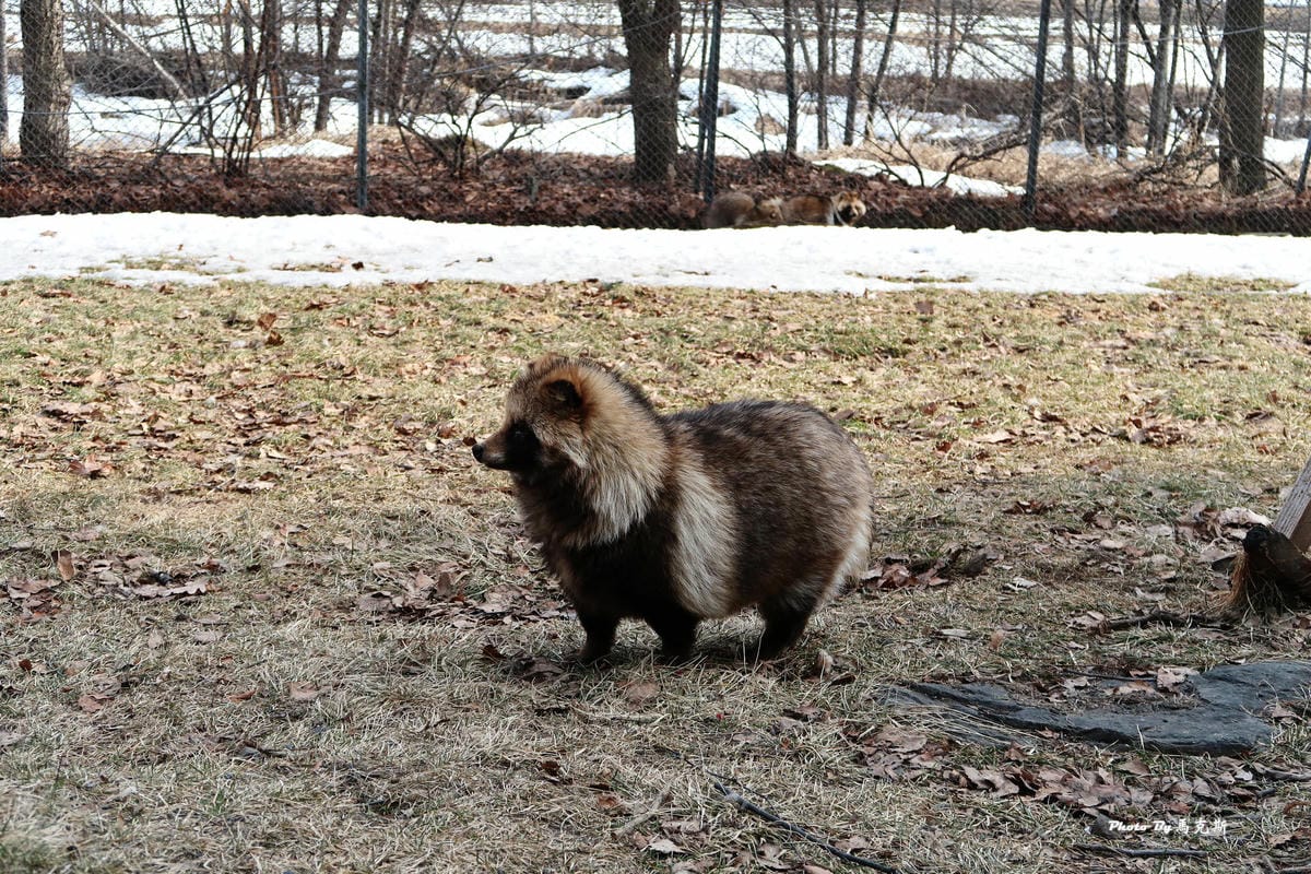 IMG_8185_調整大小 IMG_8185_調整大小