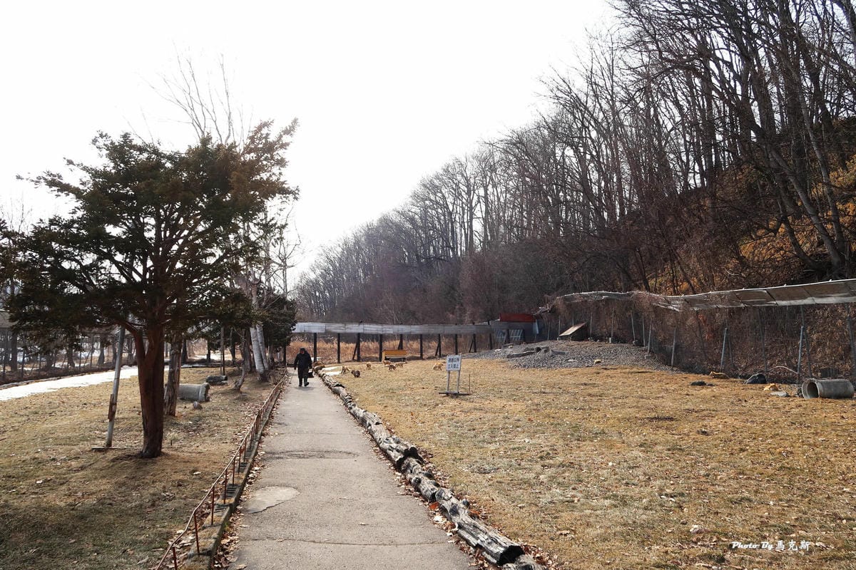 IMG_8145_調整大小 IMG_8145_調整大小