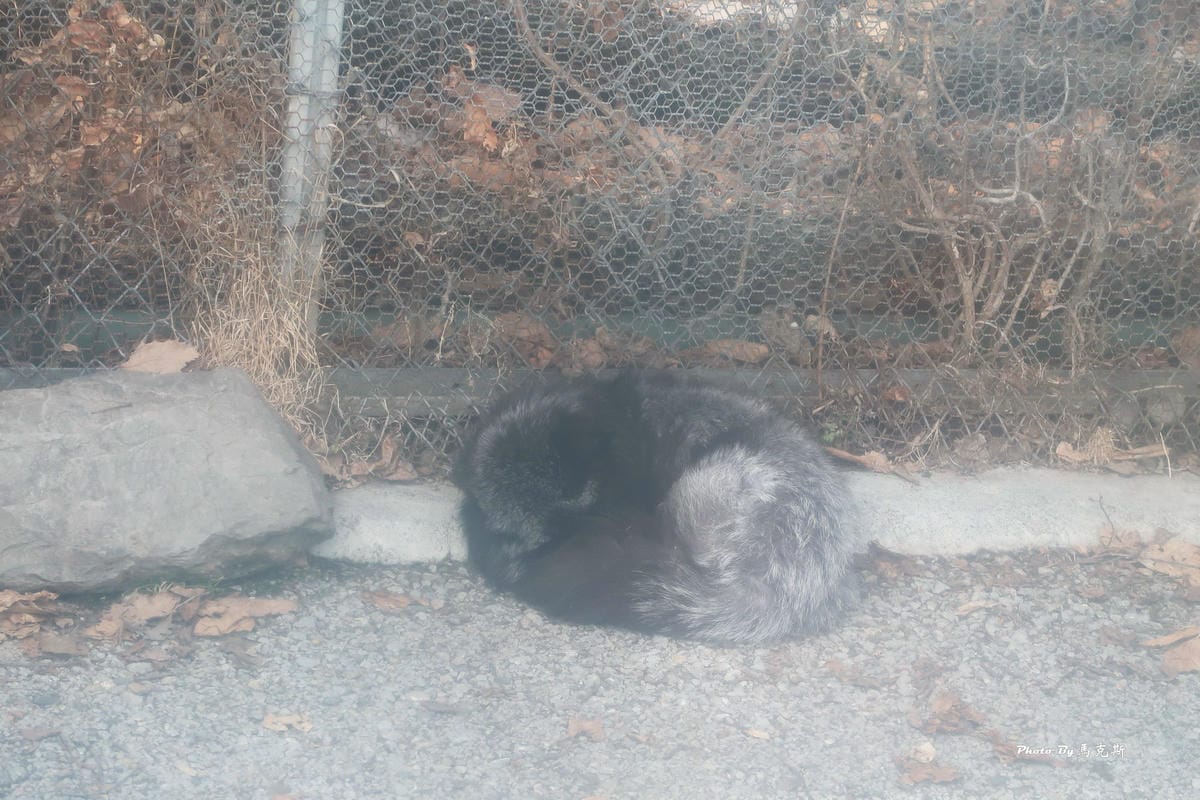 IMG_8193_調整大小 IMG_8193_調整大小