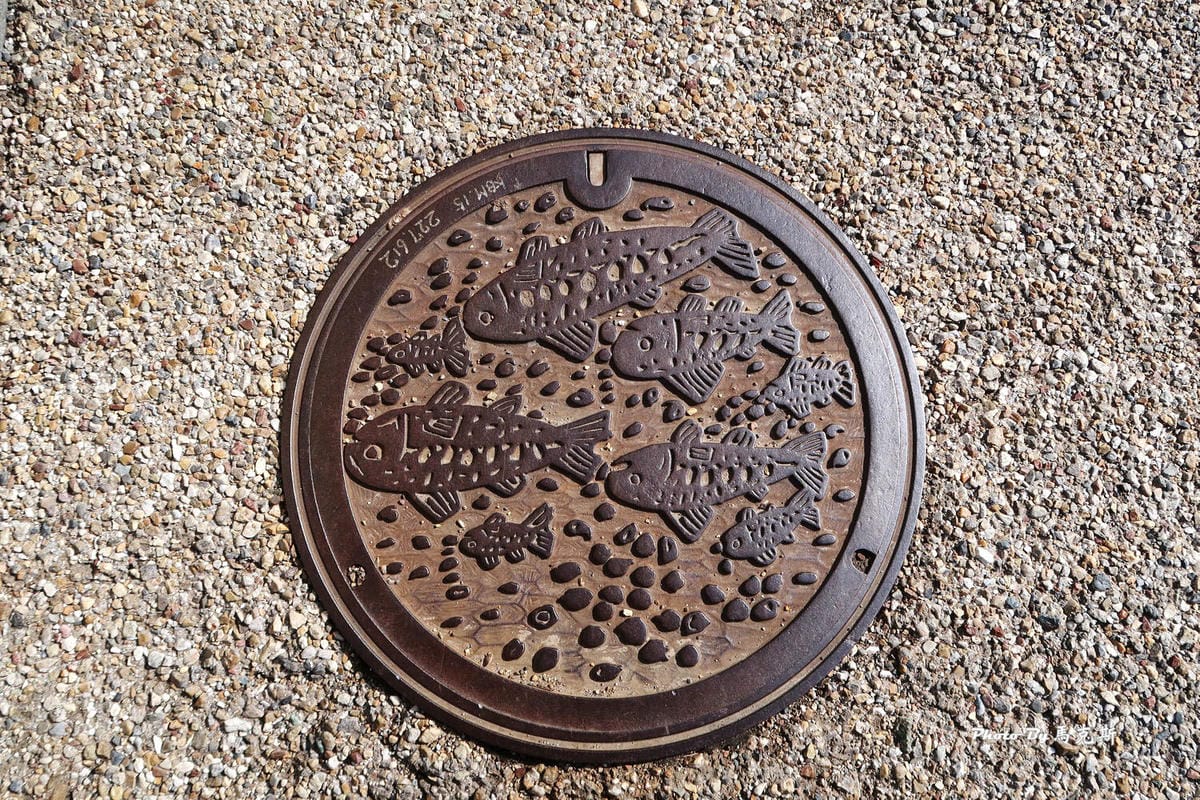 IMG_4313_調整大小 IMG_4313_調整大小