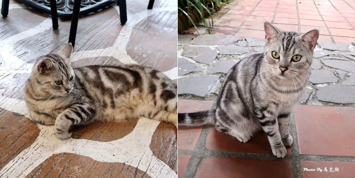 IMG_9189_調整大小 IMG_9189_調整大小