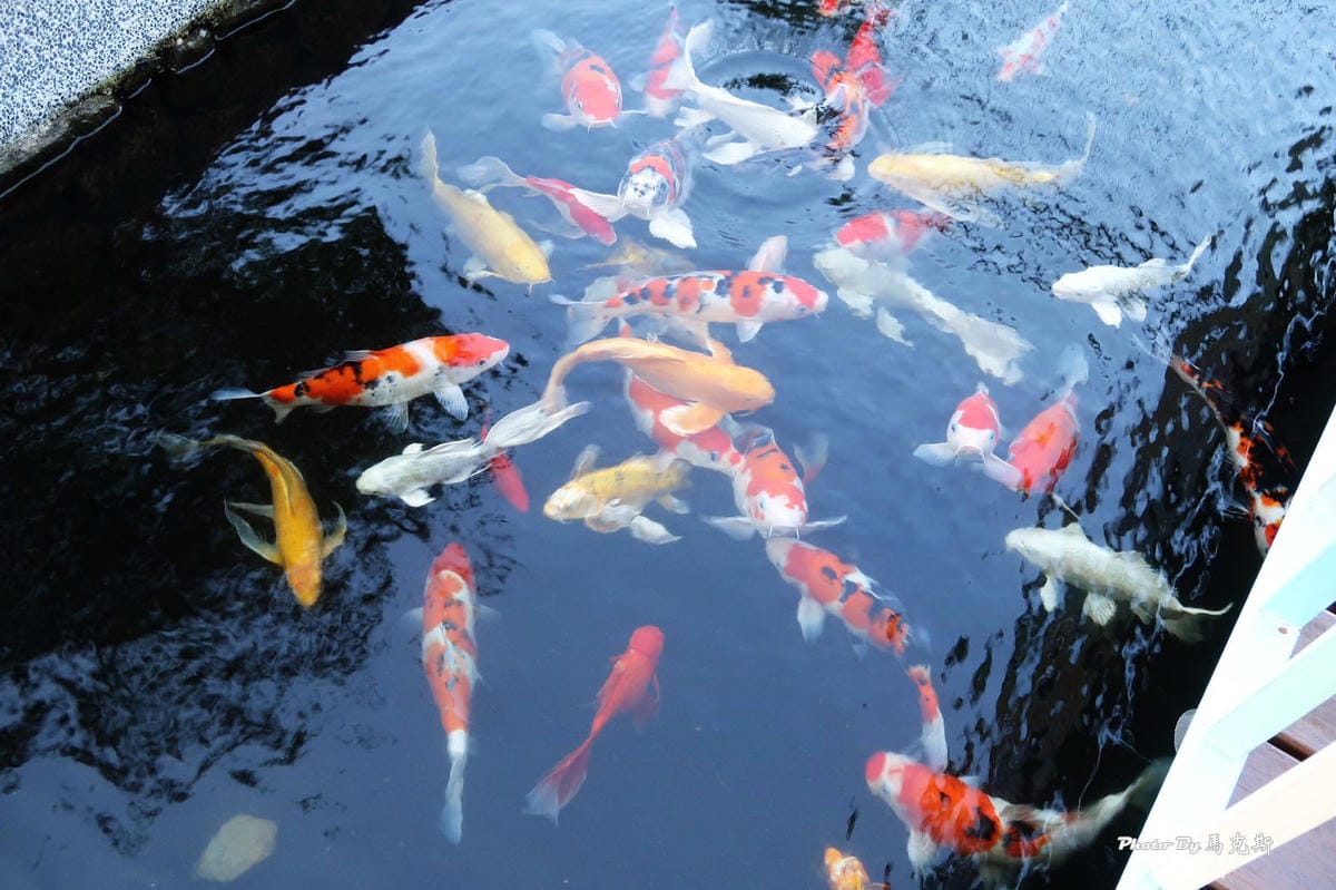 IMG_8643_調整大小 (2) IMG_8643_調整大小 (2)