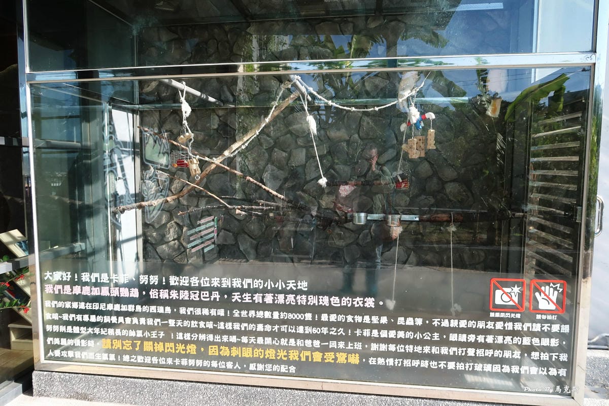 IMG_8620_調整大小 IMG_8620_調整大小