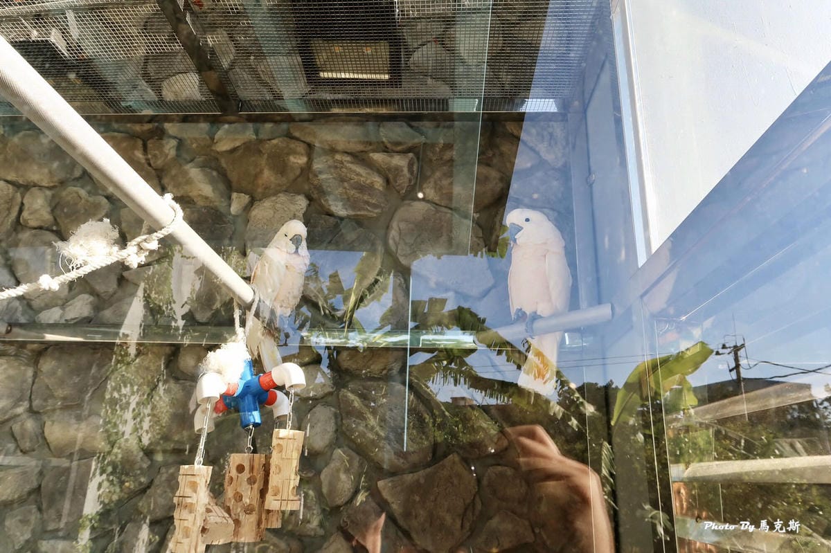 IMG_8623_調整大小 (2) IMG_8623_調整大小 (2)