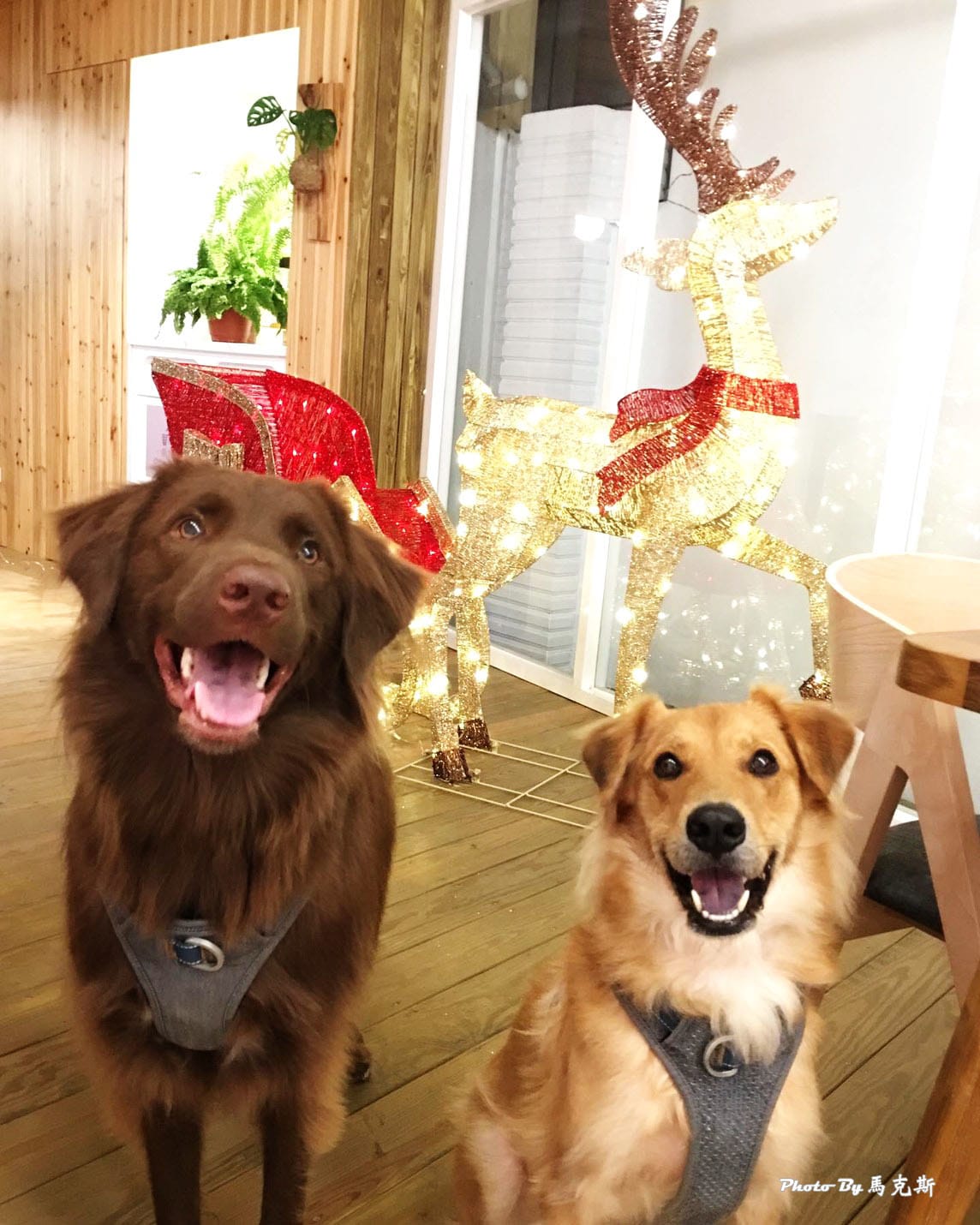 IMG_4534_調整大小 (2)