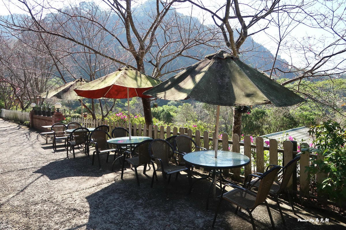 【苗栗獅潭美食推薦】星仙草(獅潭仙山秘境)|山中裡祕境甜品 【苗栗獅潭美食推薦】星仙草(獅潭仙山秘境)|山中裡祕境甜品