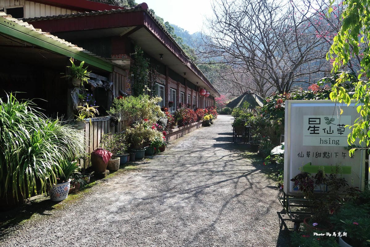 【苗栗獅潭美食推薦】星仙草(獅潭仙山秘境)|山中裡祕境甜品 【苗栗獅潭美食推薦】星仙草(獅潭仙山秘境)|山中裡祕境甜品
