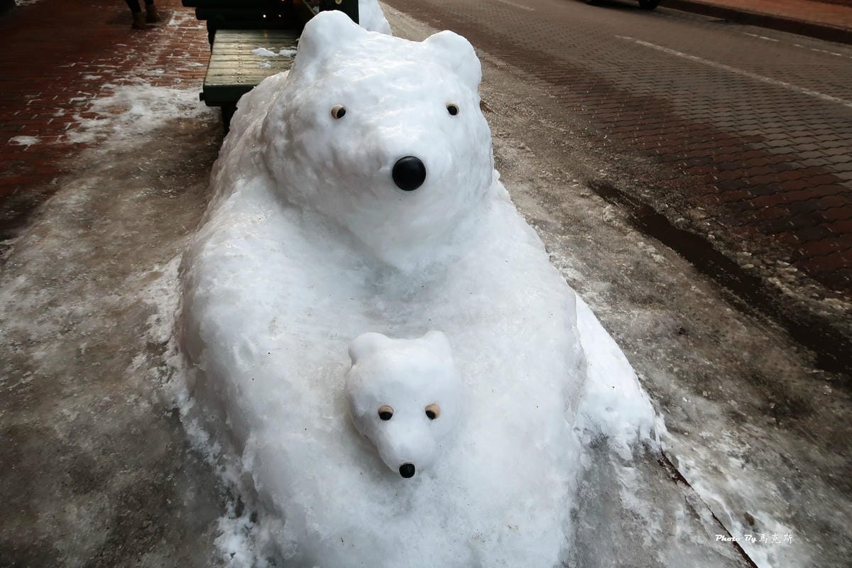 IMG_7336_調整大小 IMG_7336_調整大小