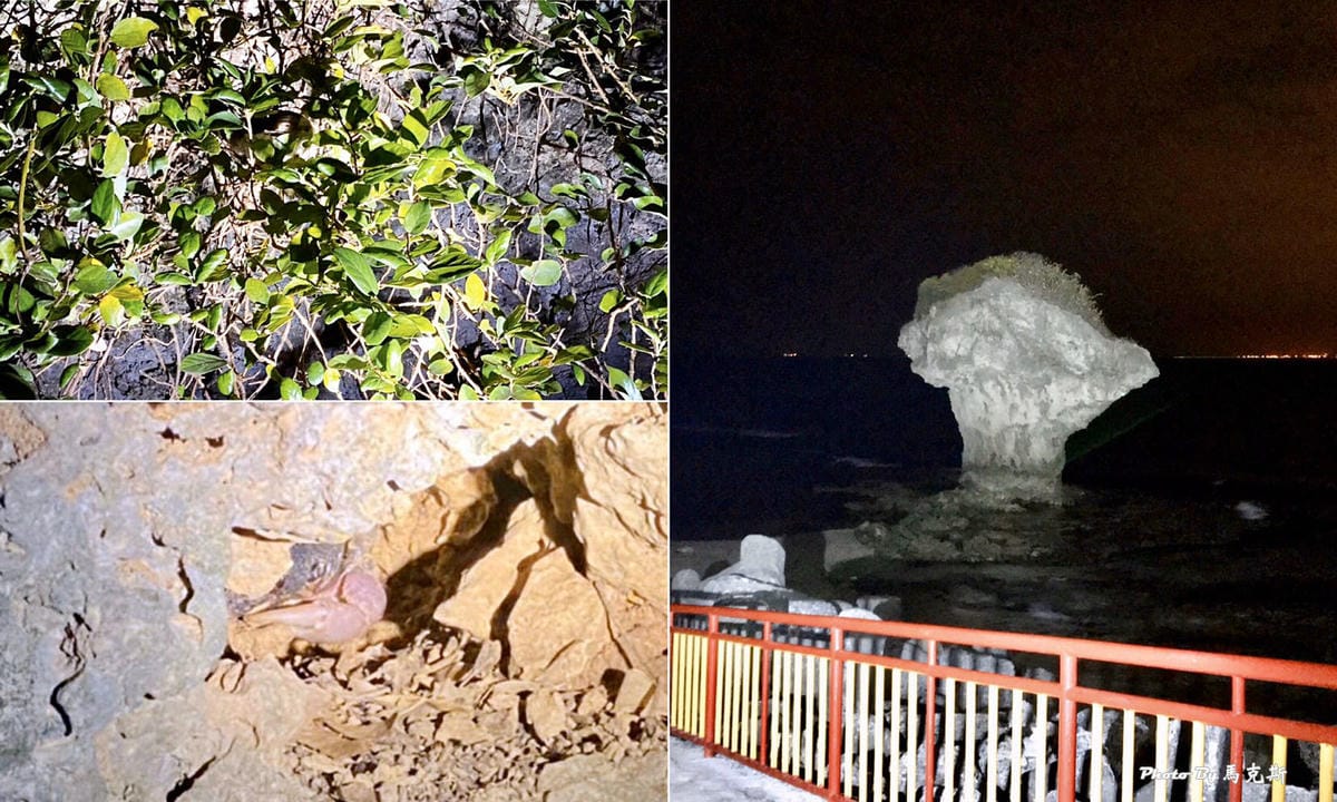 【小琉球民宿飯店推薦】小琉球源和居渡假旅宿｜小琉球民宿2天1