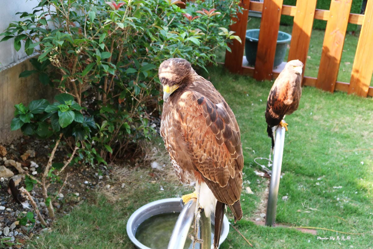 【小琉球民宿飯店推薦】小琉球源和居渡假旅宿｜小琉球民宿2天1