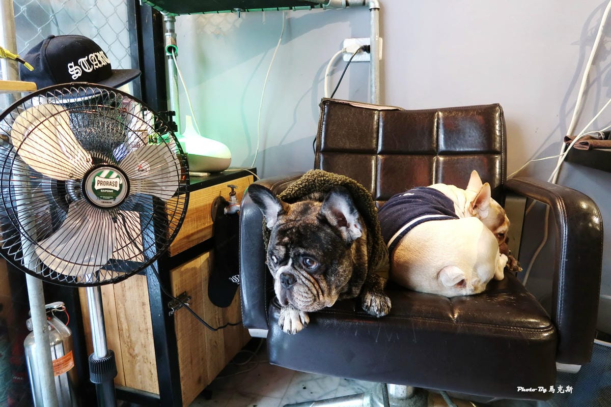 問號俱樂部DOUBT|桃園中壢剪髮推薦:中壢專屬男性剪髮 專 問號俱樂部DOUBT|桃園中壢剪髮推薦:中壢專屬男性剪髮 專