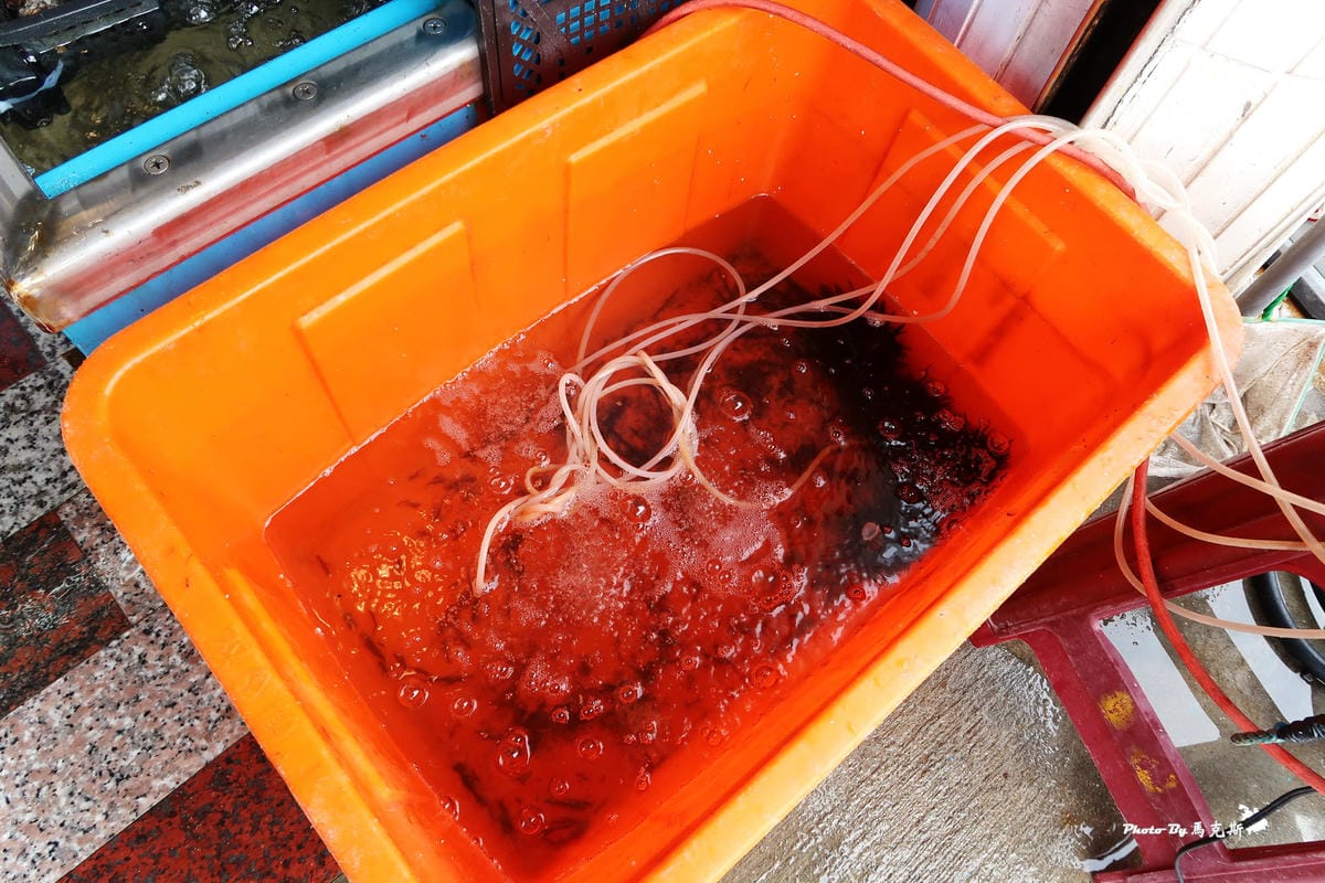 /tmp/phpR72k5d /tmp/phpR72k5d