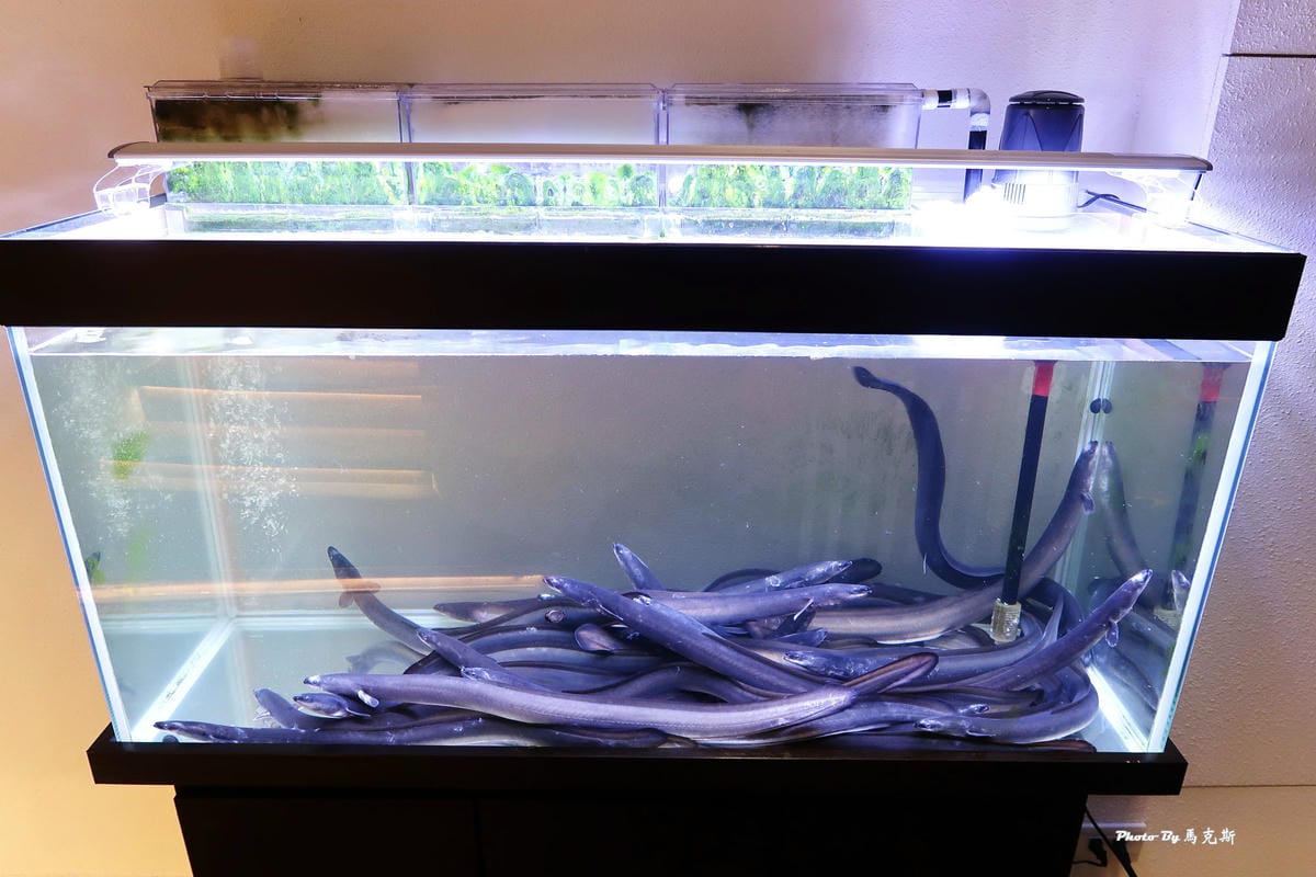 /tmp/phpD6ZW6Z /tmp/phpD6ZW6Z