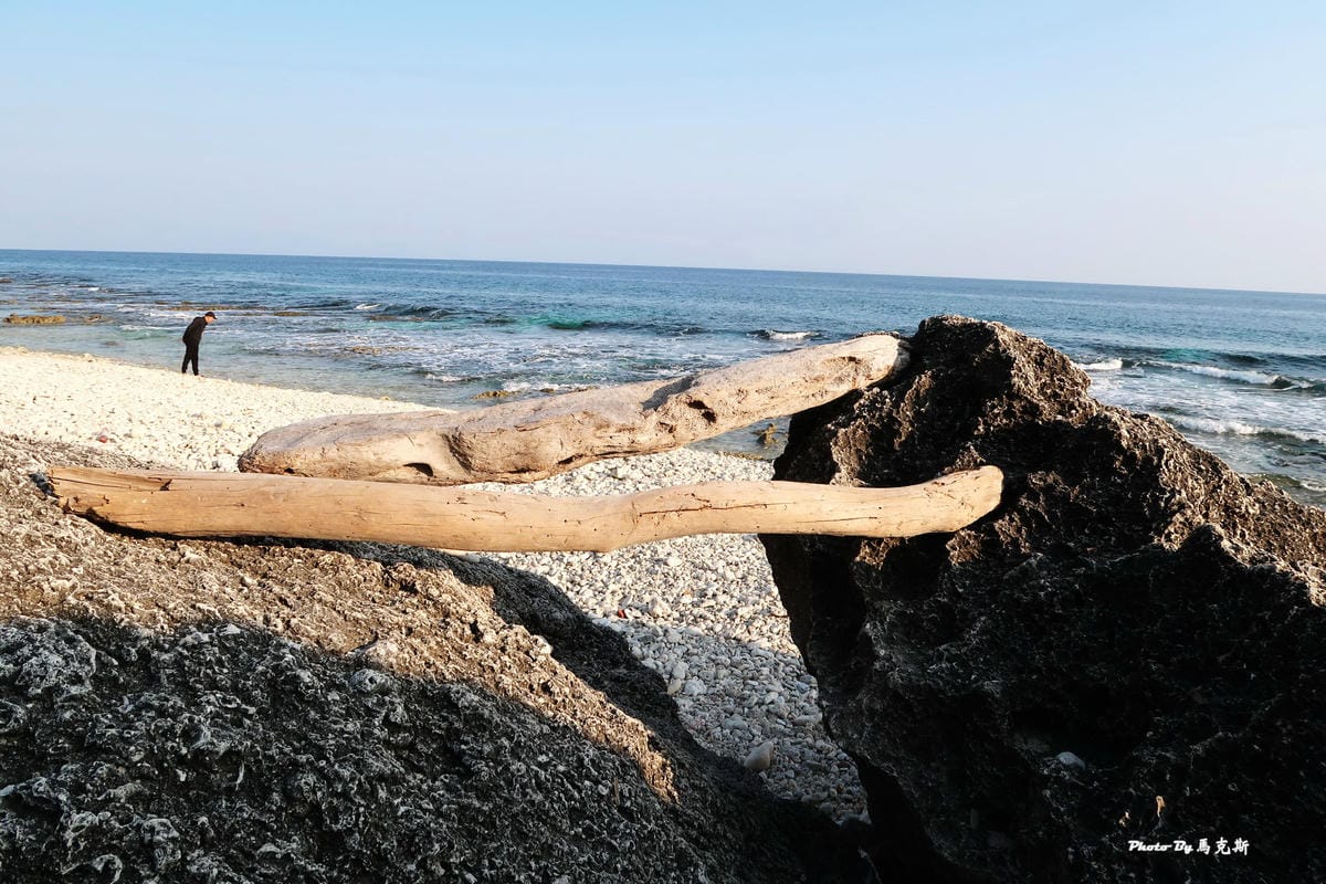【小琉球隱藏景點推薦】網美老木|小琉球IG祕境 小琉球IG打 【小琉球隱藏景點推薦】網美老木|小琉球IG祕境 小琉球IG打