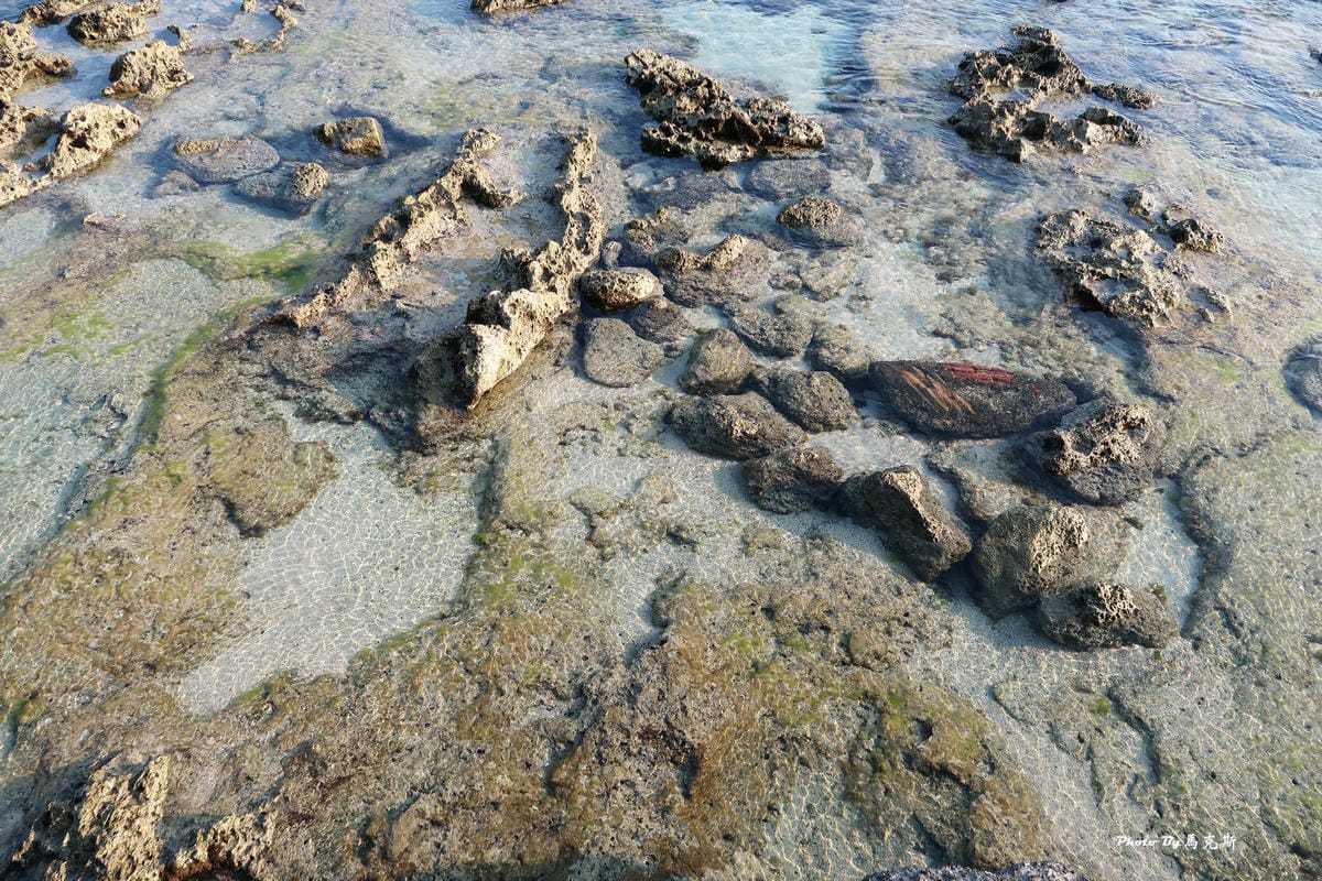 【小琉球隱藏景點推薦】網美老木|小琉球IG祕境 小琉球IG打 【小琉球隱藏景點推薦】網美老木|小琉球IG祕境 小琉球IG打