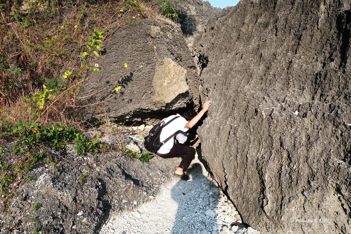 【小琉球隱藏景點推薦】網美老木|小琉球IG祕境 小琉球IG打 【小琉球隱藏景點推薦】網美老木|小琉球IG祕境 小琉球IG打