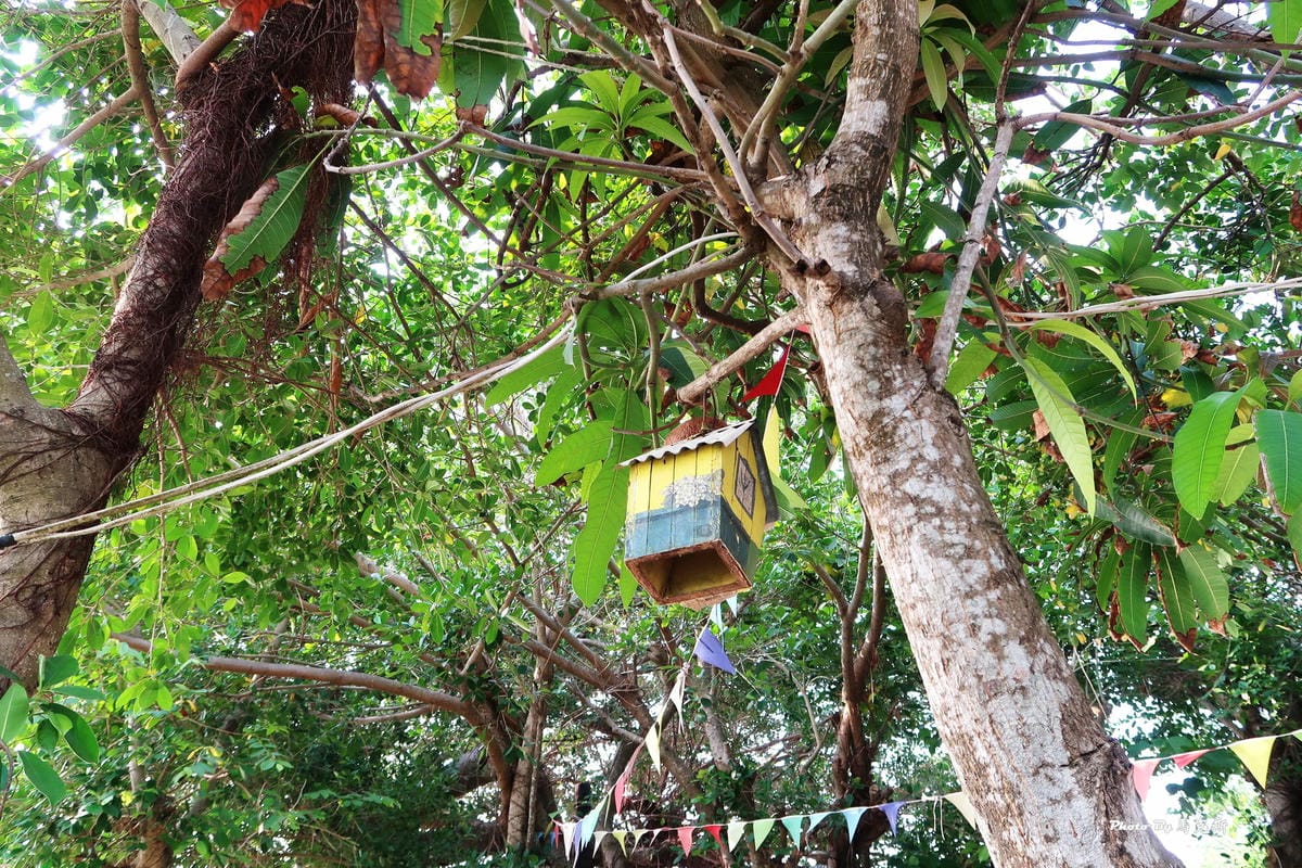 萊加呵Nine J|高雄海景咖啡推薦:柴山浪漫無敵海景祕境 萊加呵Nine J|高雄海景咖啡推薦:柴山浪漫無敵海景祕境